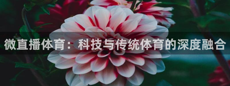 河豚直播nba：微直播体育：科技与传统体育的深度融合