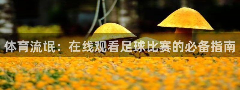 河豚nba直播官网：体育流氓：在线观看足球比赛的必备指南