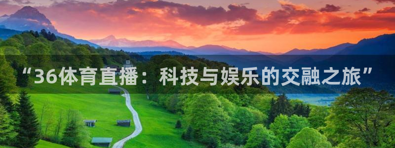 河豚看球：“36体育直播：科技与娱乐的交融之旅”
