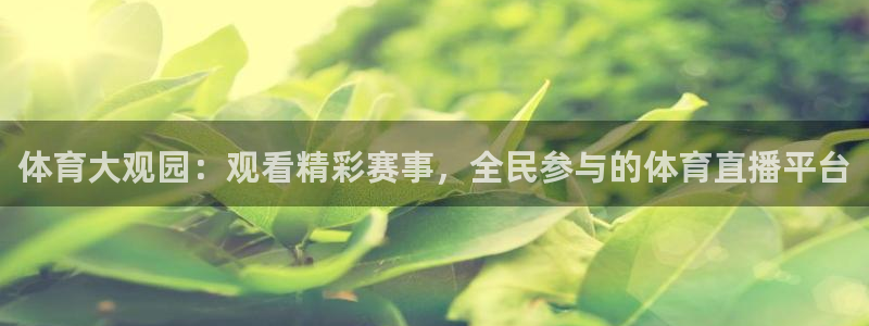 河豚篮球直播：体育大观园：观看精彩赛事，全民参与的体育直播平台