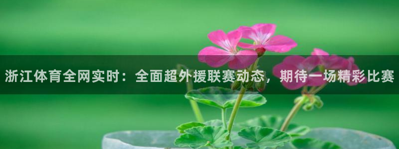河豚直播看球app下载最新版：浙江体育全网实时：全面超外援联赛动态，期待一场精彩比赛