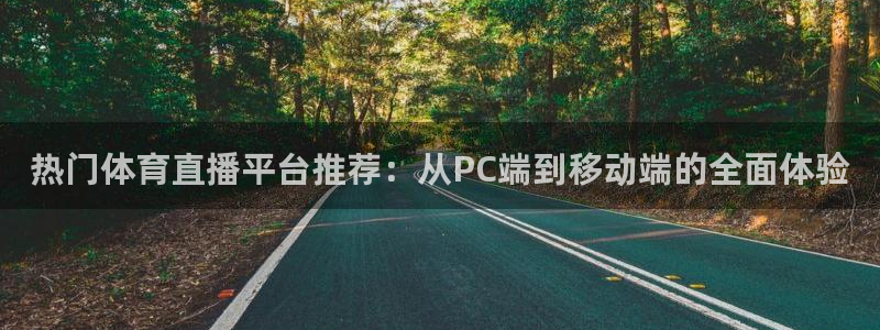 河豚体育app官方下载：热门体育直播平台推荐：从PC端到移动端的全面体验