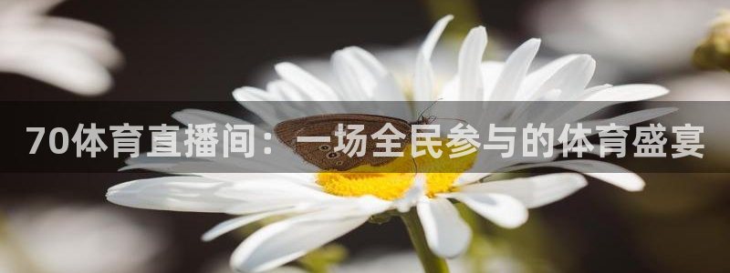 河豚体育直播cba免费下载：70体育直播间：一场全民参与的体育盛宴