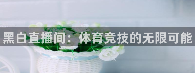 河豚直播在线看球：黑白直播间：体育竞技的无限可能
