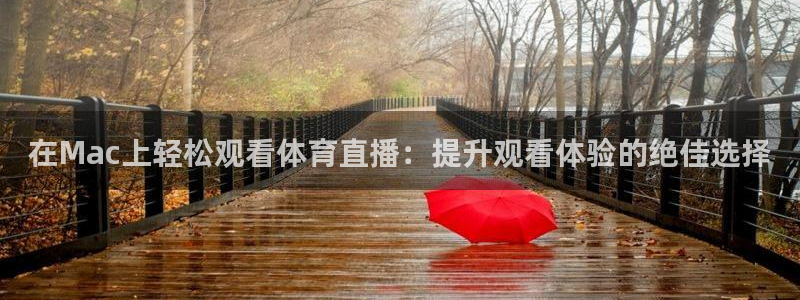 河豚体育直播网：在Mac上轻松观看体育直播：提升观看体验的绝佳选择