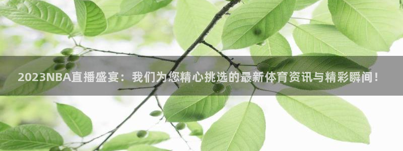 河豚体育直播免费下载：2023NBA直播盛宴：我们为您精心挑选的最新体育资讯与精彩瞬间！