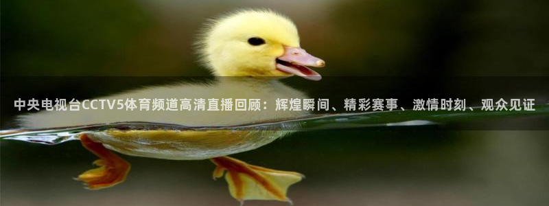 河豚视频：中央电视台CCTV5体育频道高清直播回顾：辉煌瞬间、精彩赛事、激情时刻、观众见证