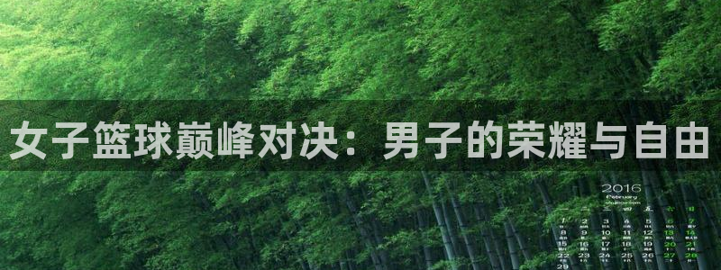 河豚视频：女子篮球巅峰对决：男子的荣耀与自由