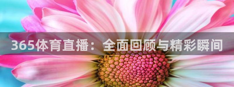 nba直播河豚：365体育直播：全面回顾与精彩瞬间