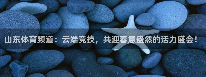河豚体育直播app：山东体育频道：云端竞技，共迎春意盎然的活力盛会！