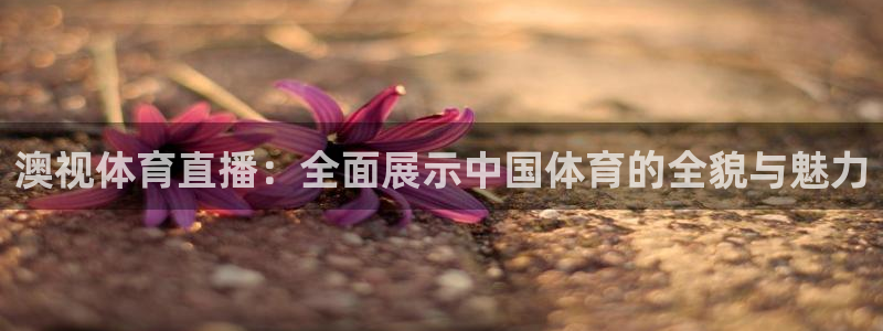 河豚体育直播在线播放：澳视体育直播：全面展示中国体育的全貌与魅力