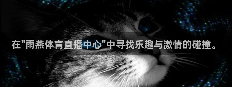 河豚体育赛事直播：在\
