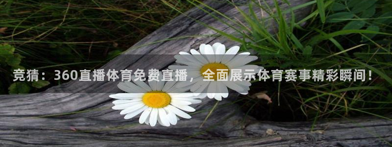 河豚体育直播：竞猜：360直播体育免费直播，全面展示体育赛事精彩瞬间！