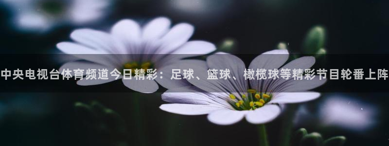河豚nba直播官网：中央电视台体育频道今日精彩：足球、篮球、橄榄球等精彩节目轮番上阵
